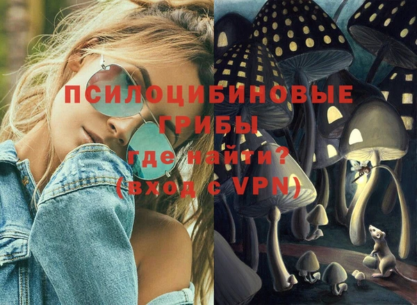 твердый Алексеевка