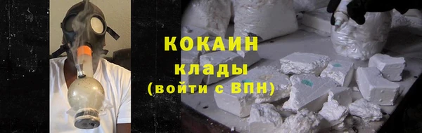 твердый Арсеньев