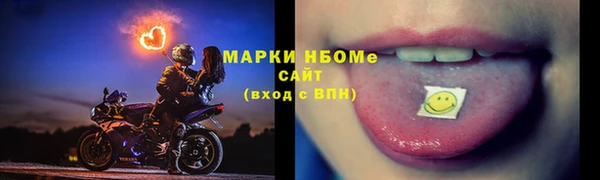 СК Сафоново